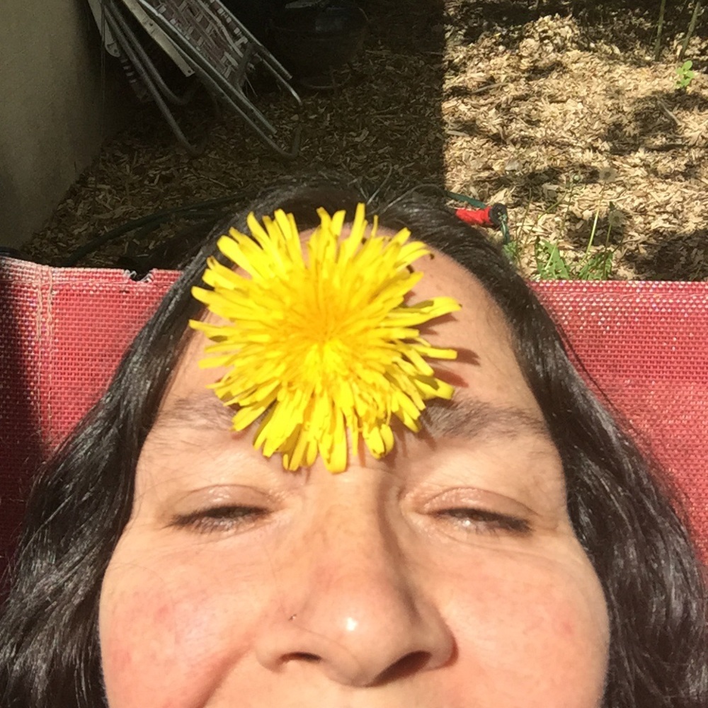 enter the burrow of the wild hare & find treasure!